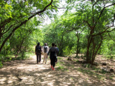 The Noida Waste-To-Wonder Park Allows You to Walk With Lions, Tigers, and Giraffes It's Possible to Walk With Lions, Tigers, and Giraffes at the Noida Waste-To-Wonder Park