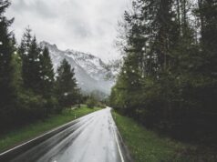 Why Nature Lovers Are Selecting Monsoon Vacations: From Rains To Retreats The Reasons Behind Nature Lovers' Choice of Monsoon Vacations: From Rain to Retreats