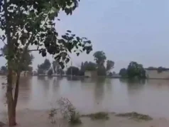 Punjab declares all 23 districts flood-hit, with crops devastated and 3.5 lakh people affected. Punjab declares all 23 districts flood-damaged, with crops destroyed and 3.5 lakh people affected.