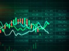 GMP, subscription status, and size to examine for the Canara Robeco AMC IPO day three live. Do you want to apply? GMP, size, and subscription status to look at during the live third day of the Canara Robeco AMC IPO. Would you like to submit an application?
