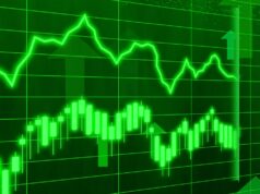 Today’s 67% Drop in Thyrocare Shares: Should Investors Be Concerned? Should Investors Fear Today's 67% Drop in Thyrocare Shares?