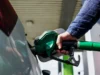 Shares of Indian Oil, BPCL, and HPCL surge more than 3% after the government raises the price of petrol and diesel once more.