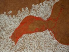 Madras Day 2026: How Chennai continues to shape the art of five contemporary artists