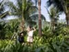 DISCOVERING VIETNAM FROM CULTURE TO COAST | News