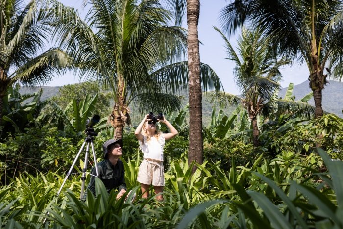 DISCOVERING VIETNAM FROM CULTURE TO COAST | News DISCOVERING VIETNAM FROM CULTURE TO COAST | News