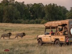 Windows On The Wild Launches New Kenya Itineraries | News