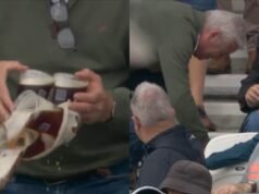 Fan Spills Beer In Stands During England vs Pakistan 1st Test. Crowd Comes Up With Funny Reactions. Watch