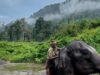 The elephant whisperers of the Western Ghats
