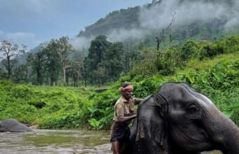 The elephant whisperers of the Western Ghats