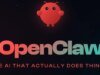 OpenClaw AI agent asked to book gym class ends up hacking system: What went wrong? | Technology News