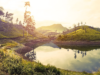 Jetstar’s Melbourne to Colombo service takes flight | News