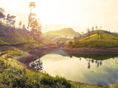 Jetstar’s Melbourne to Colombo service takes flight | News