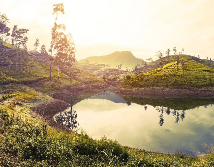 Jetstar’s Melbourne to Colombo service takes flight | News Jetstar’s Melbourne to Colombo service takes flight | News