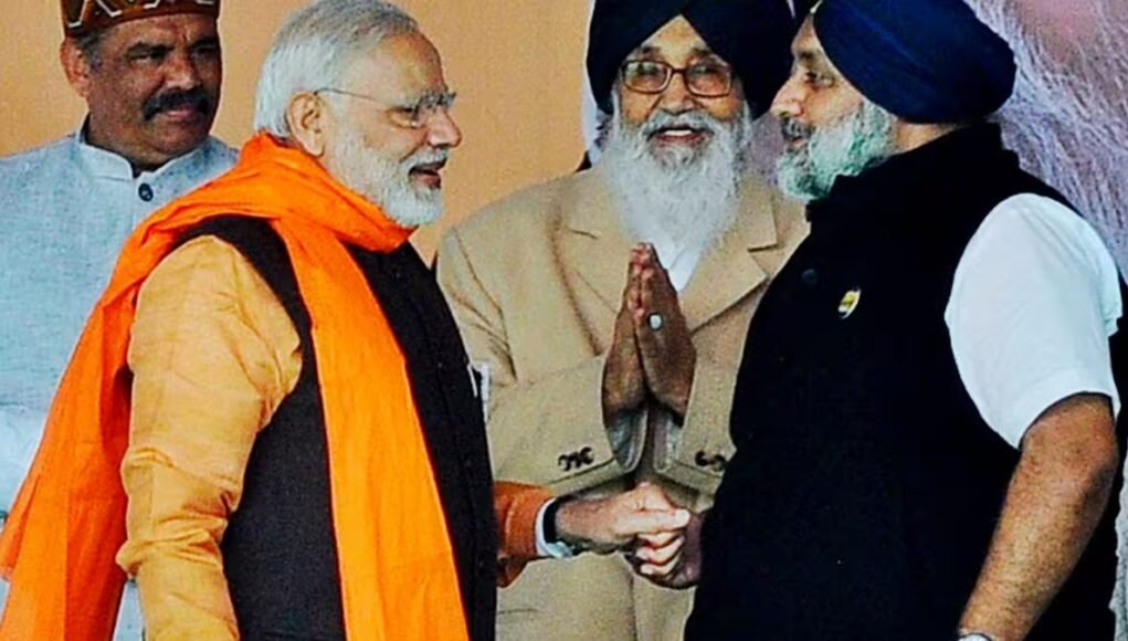 Lok Sabha 2024 polls: BJP rules out alliance with SAD, to fight alone in Punjab