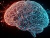 AI models are getting better at training other models, Anthropic study finds | Technology News