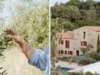Come and Connect with the Rhythm of the Land: Querubi Launches Inaugural Harvest Retreat | News