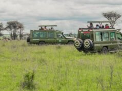Zara Tanzania Adventures: The Art of Adventure, Refined | Focus