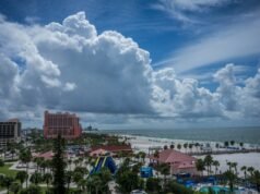 The Best Ways to Experience Florida’s Gulf Coast Beyond the Beach | News