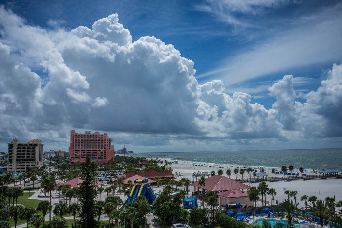 The Best Ways to Experience Florida’s Gulf Coast Beyond the Beach | News The Best Ways to Experience Florida’s Gulf Coast Beyond the Beach | News