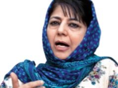 Former chief minister of Jammu and Kashmir Mehbooba Mufti said that she is a “dimaagi Naxal” as she supports Article 370 of the Constitution, which granted special status to Jammu and Kashmir.