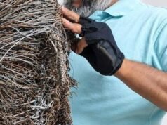 The nuts and bolts of creativity: a sculptor in Chennai experiments with unlikely material