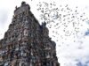 Meenakshi Temple: The making of Madurai’s greatest landmarks