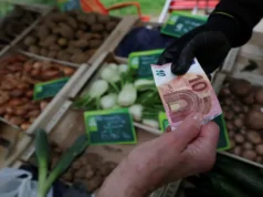 Euro zone business activity hits highest level since November