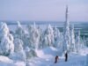Finland’s Wild North Becomes Easier Than Ever to Reach from the UK This Winter | News