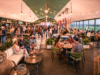 Saddle Up for an Autumn of Fun at Al Habtoor Polo Resort’s Horse & Hound with a First-Ever Hoedown | News