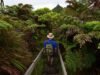 St Helena Invites Travellers to ‘Come and Find Me’ as Remote Island Steps into the Tourism Spotlight | News