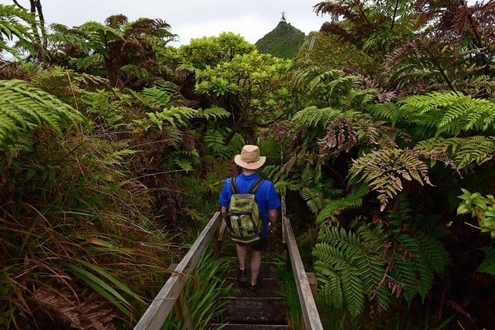 St Helena Invites Travellers to ‘Come and Find Me’ as Remote Island Steps into the Tourism Spotlight | News St Helena Invites Travellers to ‘Come and Find Me’ as Remote Island Steps into the Tourism Spotlight | News