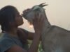 ‘Village Rockstars 2’ movie review: Rima Das returns with a psalm of resistance