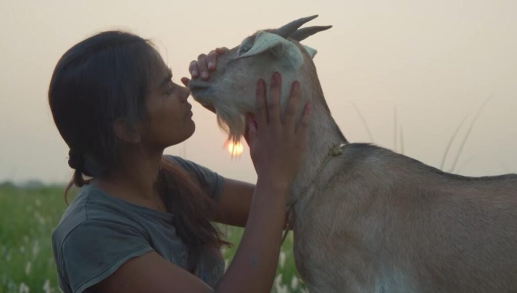 ‘Village Rockstars 2’ movie review: Rima Das returns with a psalm of resistance ‘Village Rockstars 2’ movie review: Rima Das returns with a psalm of resistance