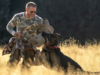 ‘Heart of the Beast’ movie review: A rugged Brad Pitt snuggles warmth in aching canine bromance