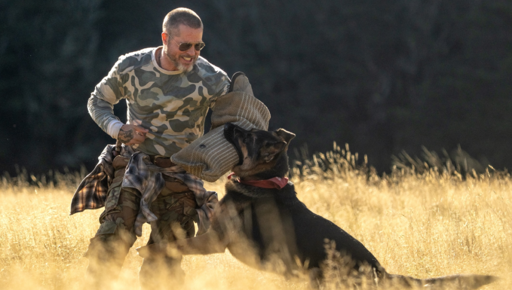 ‘Heart of the Beast’ movie review: A rugged Brad Pitt snuggles warmth in aching canine bromance