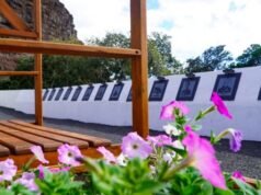 St Helena reveals extraordinary roll call of historic visitors in Walk Through History | News