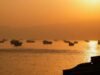 Fuel oil shortage threatens shipping as war disrupts refinery output