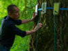 ‘Silent Friend’ movie review: Tony Leung gets In the Mood for a Gingko Tree in Ildikó Enyedi’s strange, sensual wonder