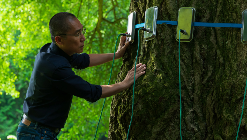‘Silent Friend’ movie review: Tony Leung gets In the Mood for a Gingko Tree in Ildikó Enyedi’s strange, sensual wonder ‘Silent Friend’ movie review: Tony Leung gets In the Mood for a Gingko Tree in Ildikó Enyedi’s strange, sensual wonder
