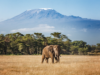 British Airways announces new Tanzania routes and network update for summer 2027 | News