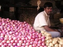 Onion price surge triggers Centre action; ‘Kanda Express’ to roll out Monday