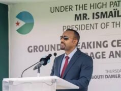 Ethiopia, Djibouti announce new petroleum pipeline with Dangote Group