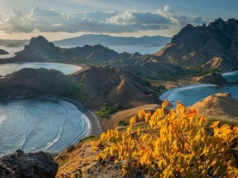 From Patagonia to Indonesia: Riviera Travel Reveals New Far-Flung Tours for 2028 | News