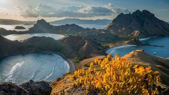From Patagonia to Indonesia: Riviera Travel Reveals New Far-Flung Tours for 2028 | News From Patagonia to Indonesia: Riviera Travel Reveals New Far-Flung Tours for 2028 | News