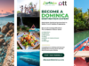 Discover Dominica launches new destination training course for UK travel advisers | News