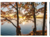 Endless Trails: Discover Lithuania’s Wild Side on Foot | News