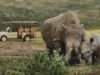 How guest stays are funding Africa’s greatest recovery story | News