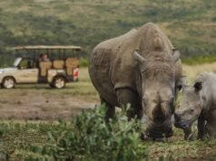 How guest stays are funding Africa’s greatest recovery story | News