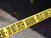 Indian-origin woman shot dead in California after months of stalking, accused dies by suicide