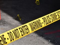 Indian-origin woman shot dead in California after months of stalking, accused dies by suicide